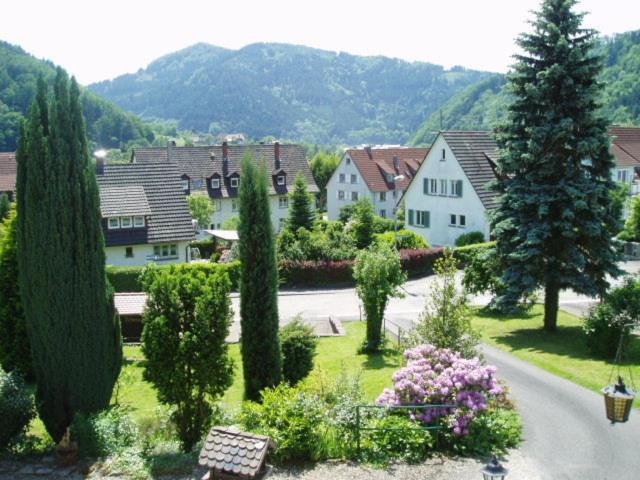Schwarzwaldhotel / Wolfach Oda fotoğraf