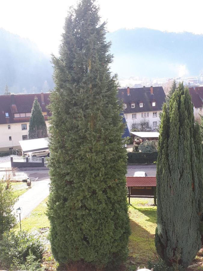 Schwarzwaldhotel / Wolfach Dış mekan fotoğraf